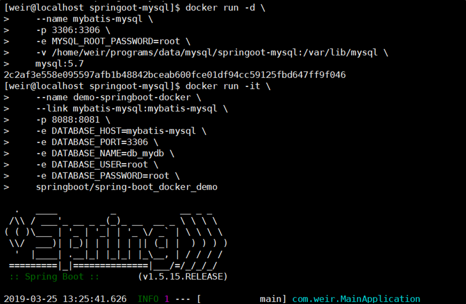启动Springboot项目